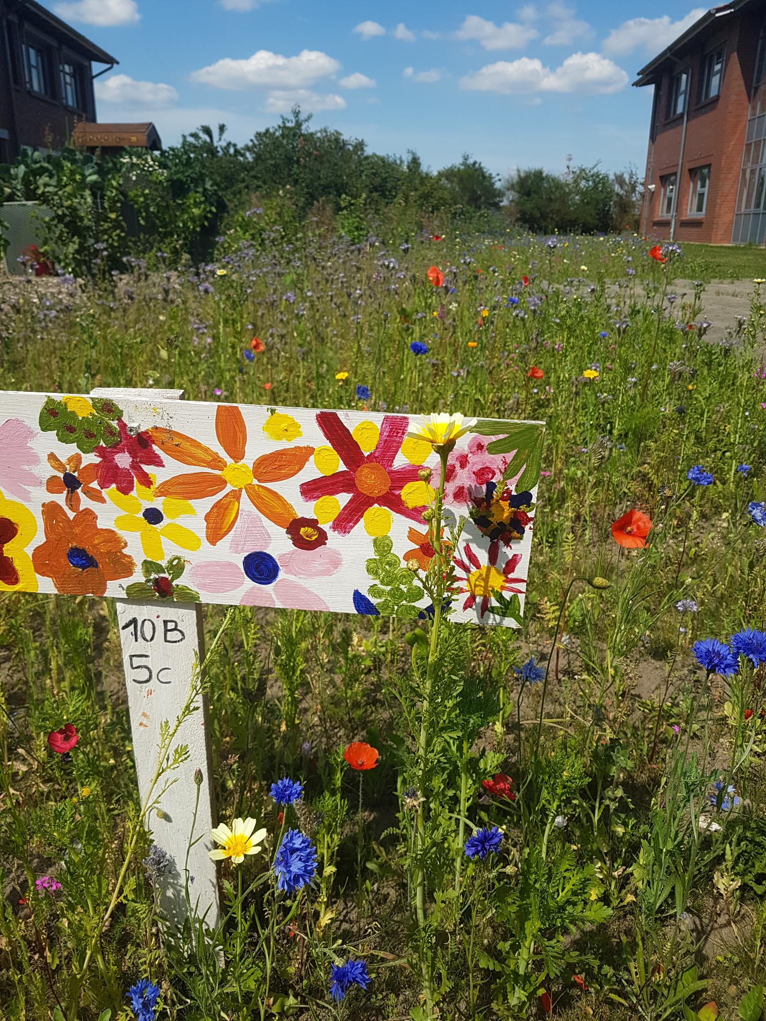 Biologie – Impression 1