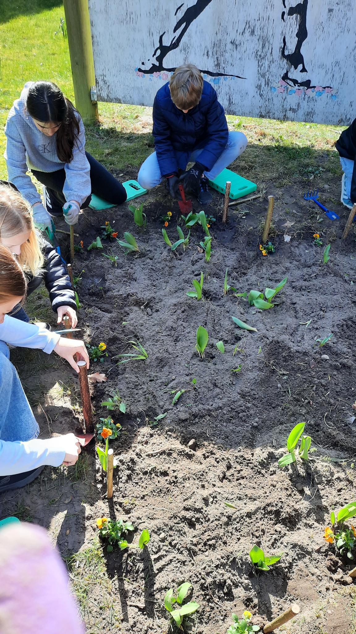 Biologie – Impression 2