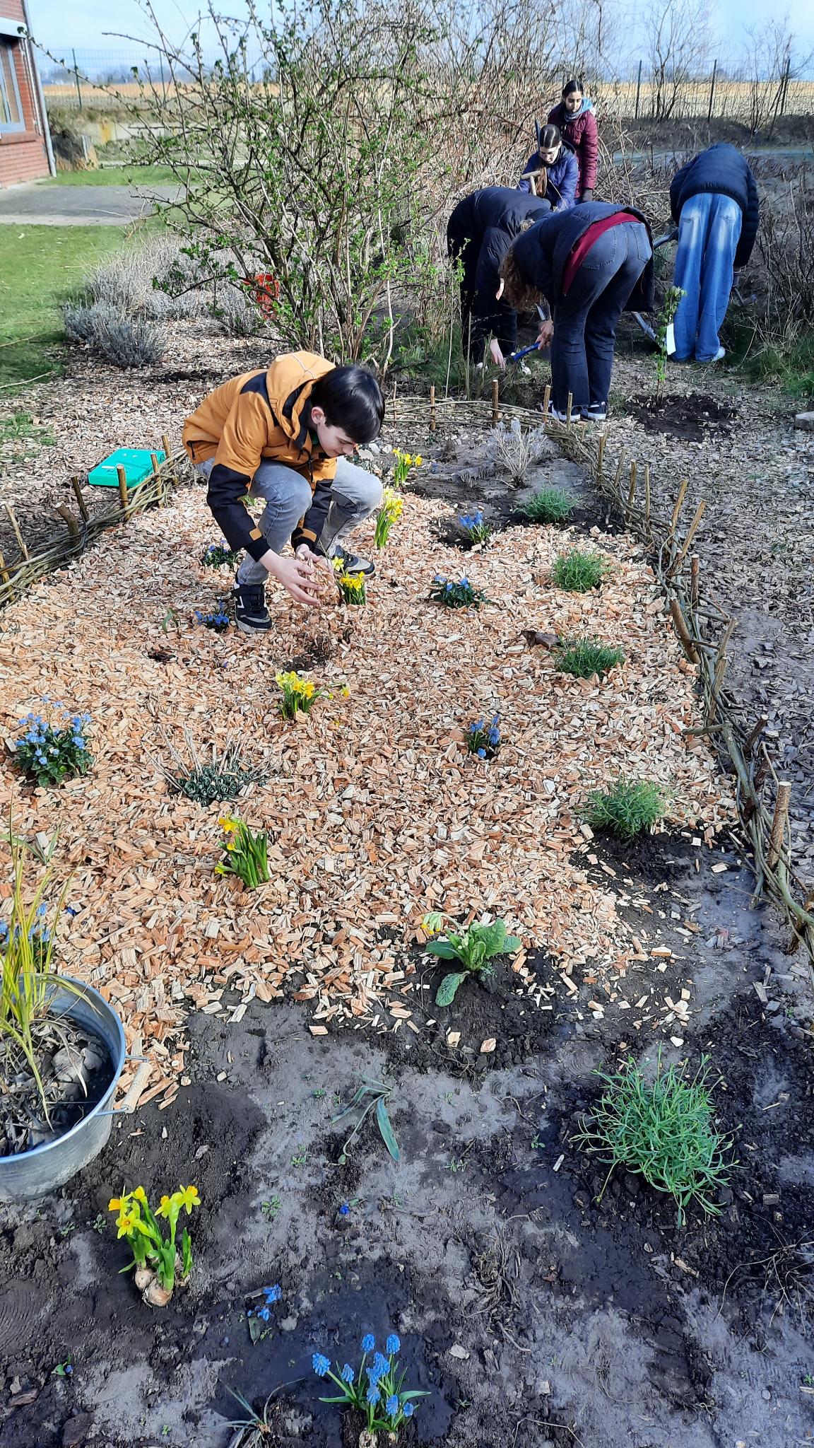 Biologie – Impression 3